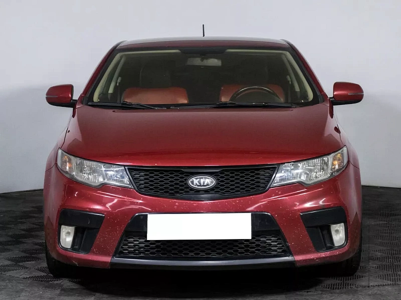 Cerato