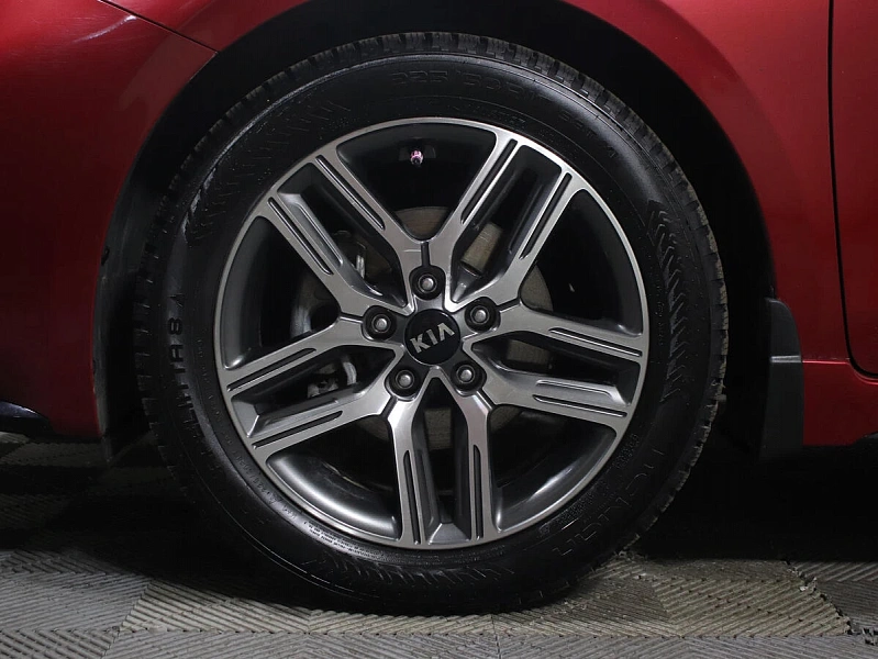 Cerato