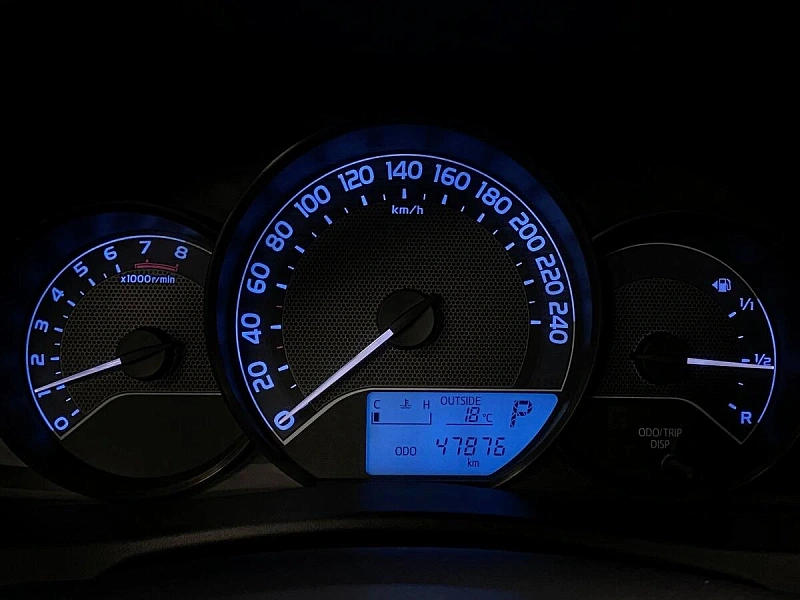 Auris