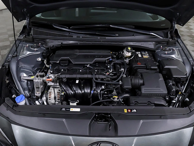 Elantra
