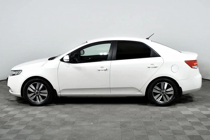 Cerato