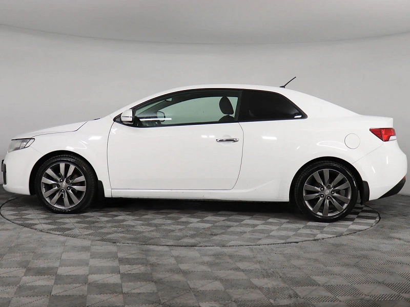 Cerato
