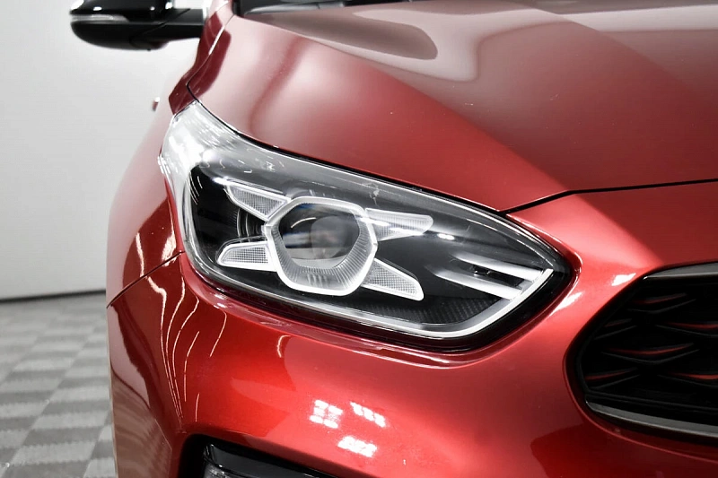 Cerato