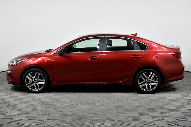 Cerato