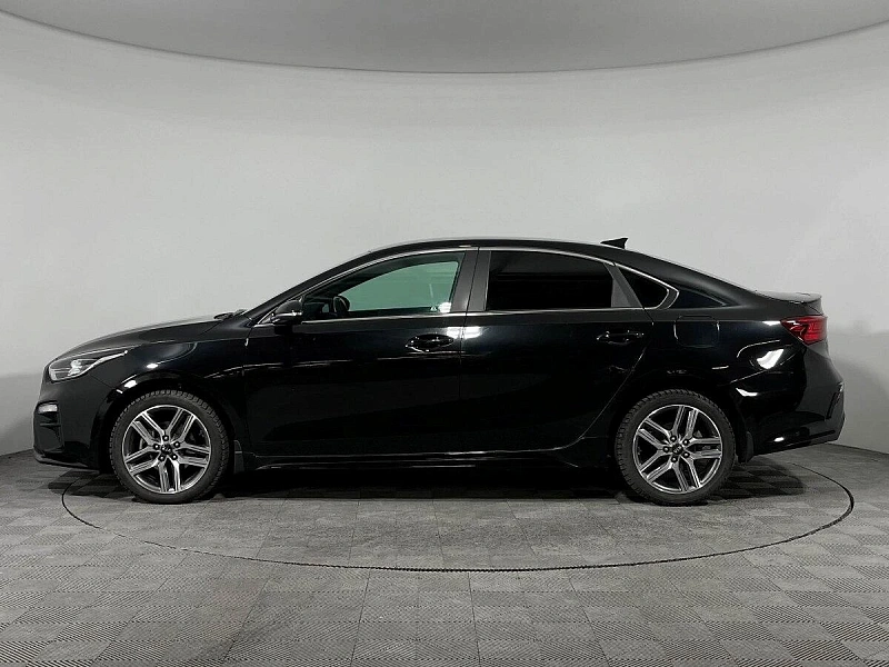 Cerato
