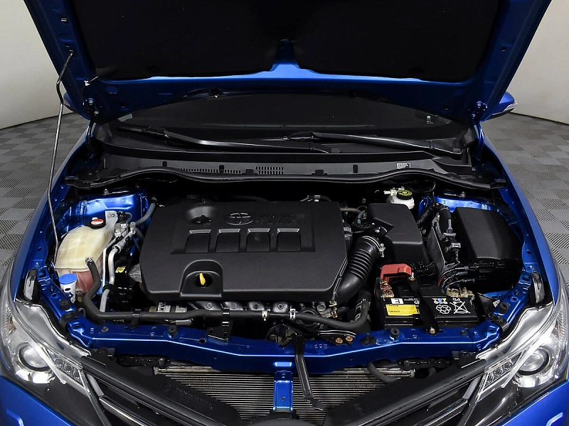 Auris
