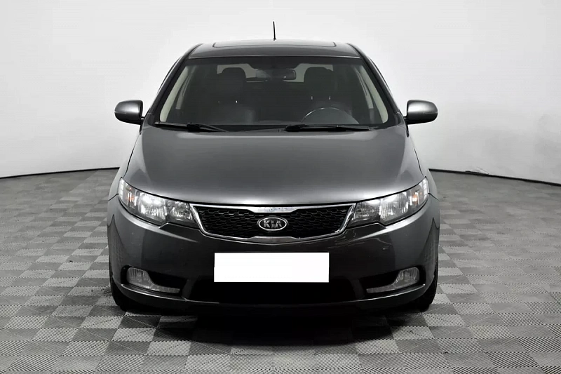 Cerato