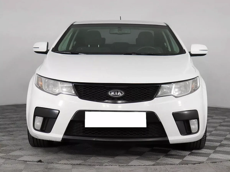 Cerato