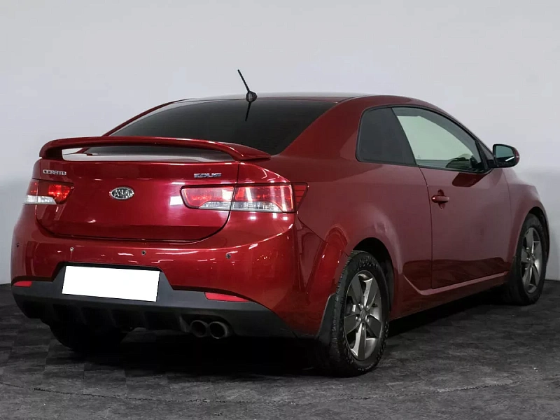Cerato
