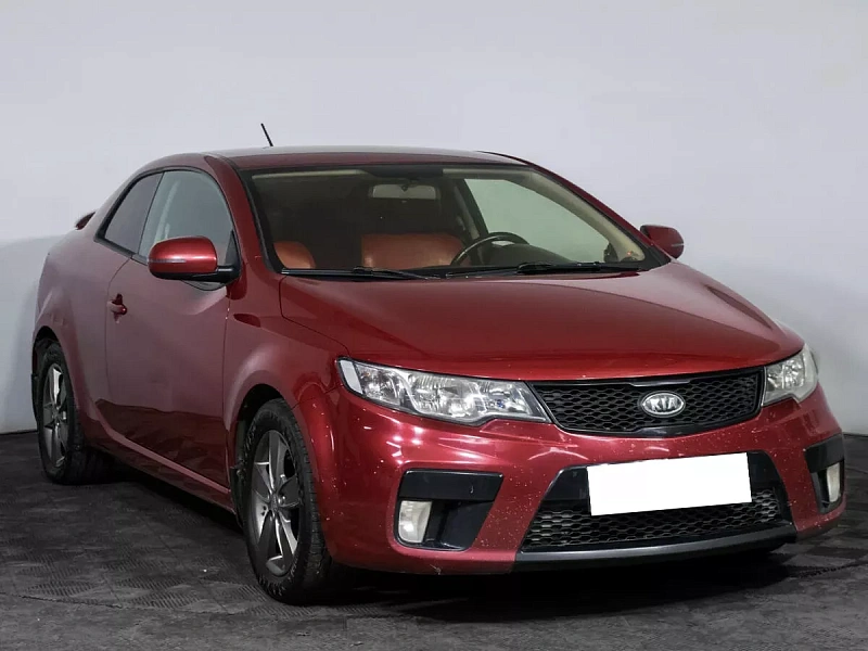 Cerato