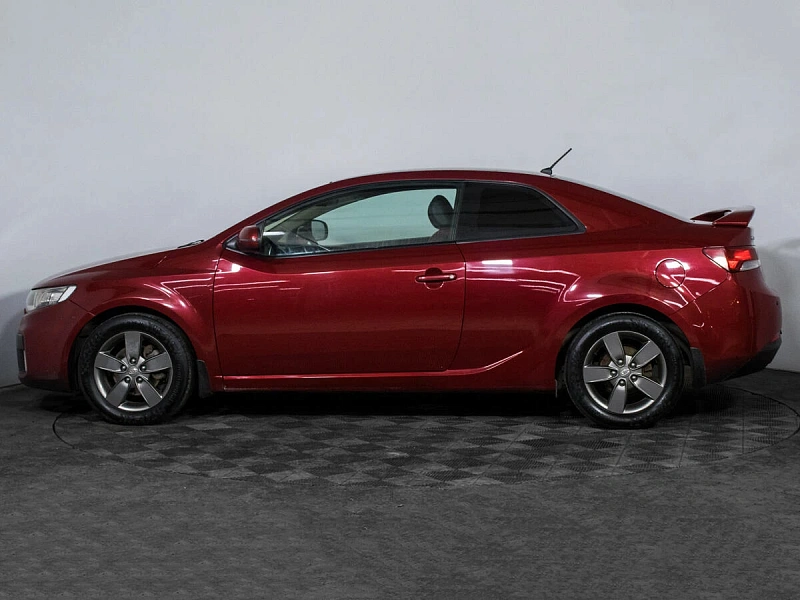Cerato