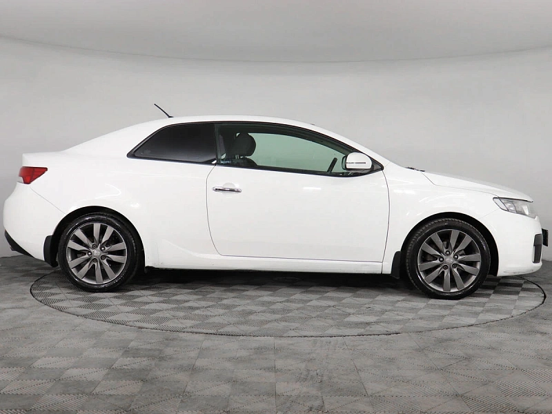 Cerato