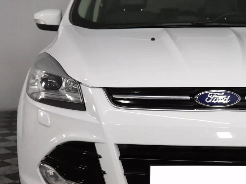 Kuga