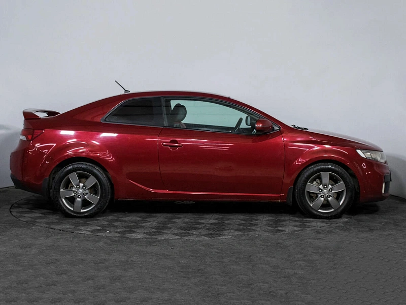 Cerato