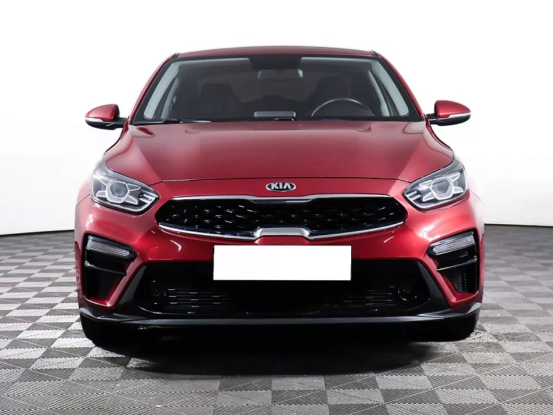 Cerato
