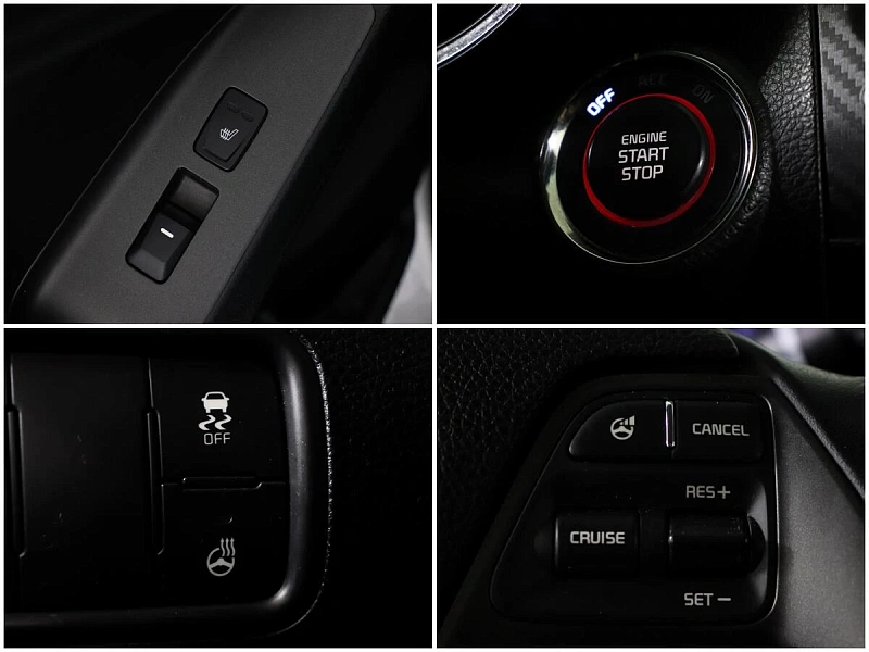 Cerato