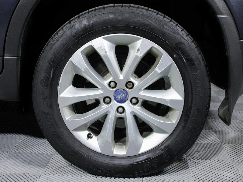 Kuga