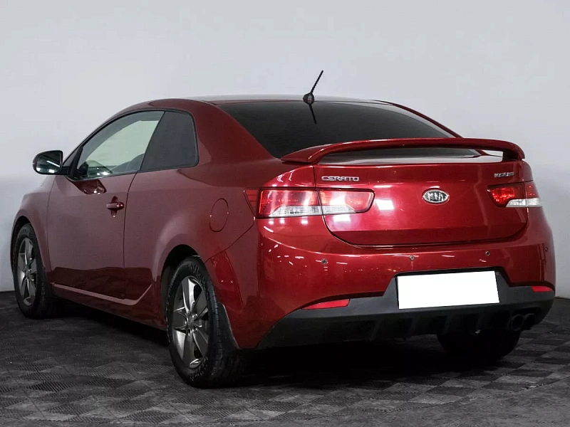 Cerato