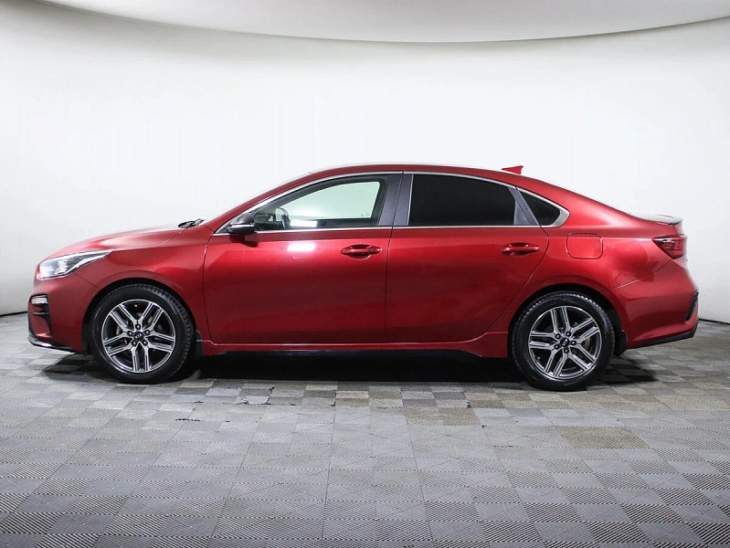 Cerato