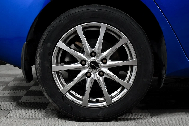 Auris