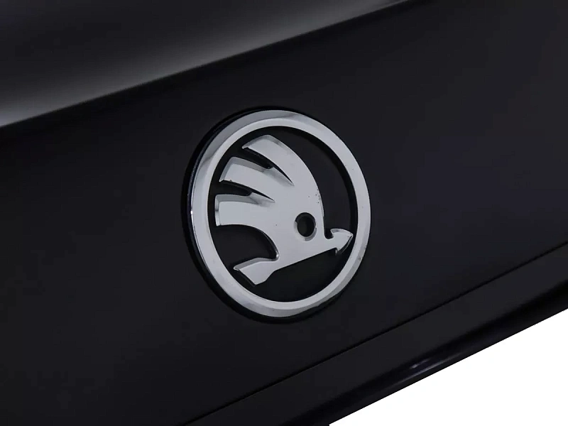Rapid