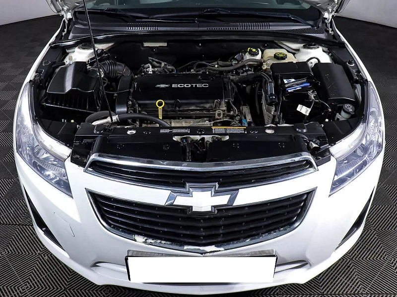 Cruze