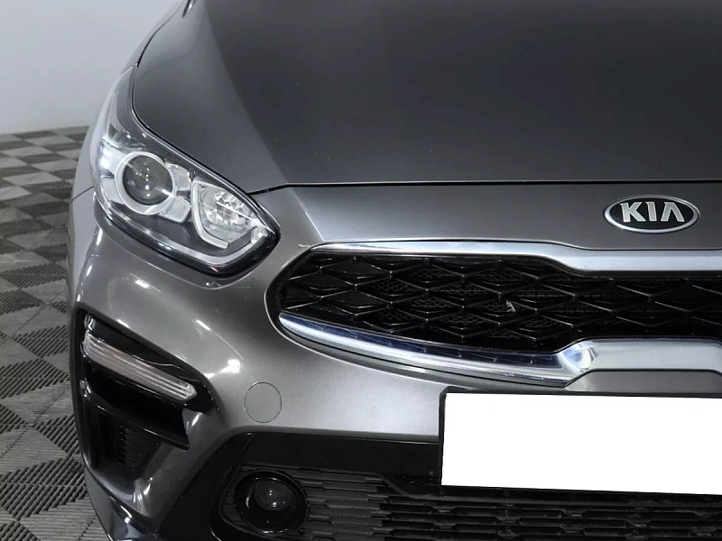 Cerato
