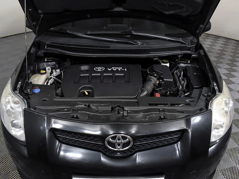 Auris